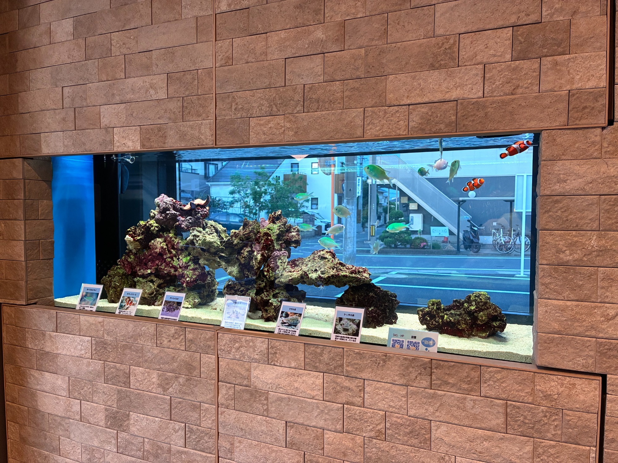 ツリー薬局 江木町店